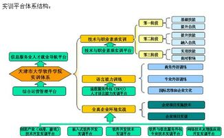 天津市大学软件学院挑战杯官网网络技术开发实践