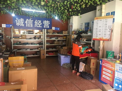 月纯收入4万快递店转让与网络技术服务 双轨并行的经营良机